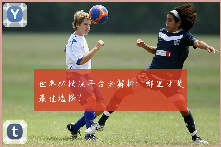 世界杯投注平台全解析：哪里才是最佳选择？