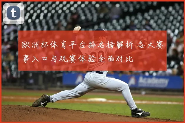 欧洲杯体育平台排名榜解析 各大赛事入口与观赛体验全面对比