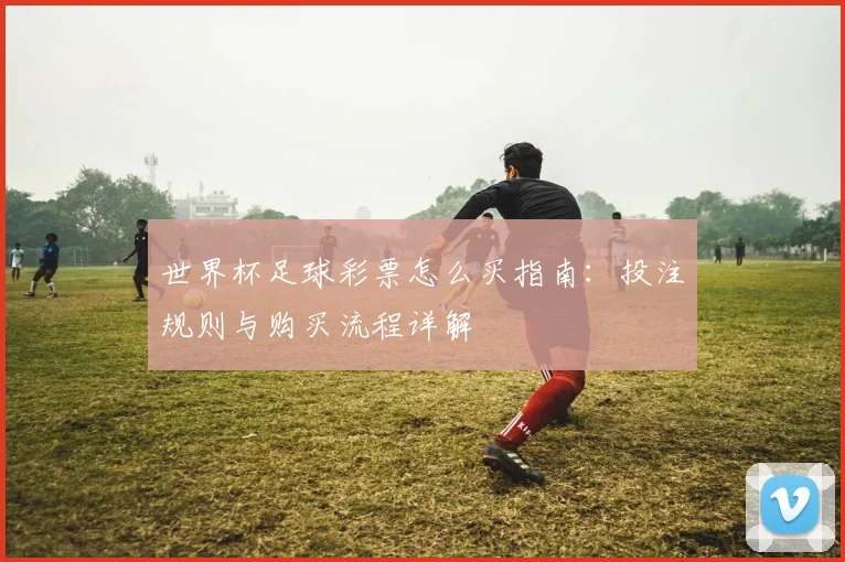 世界杯足球彩票怎么买指南：投注规则与购买流程详解