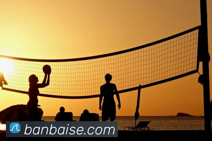 世界杯平台官网登录服务体系